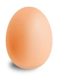 An Egg